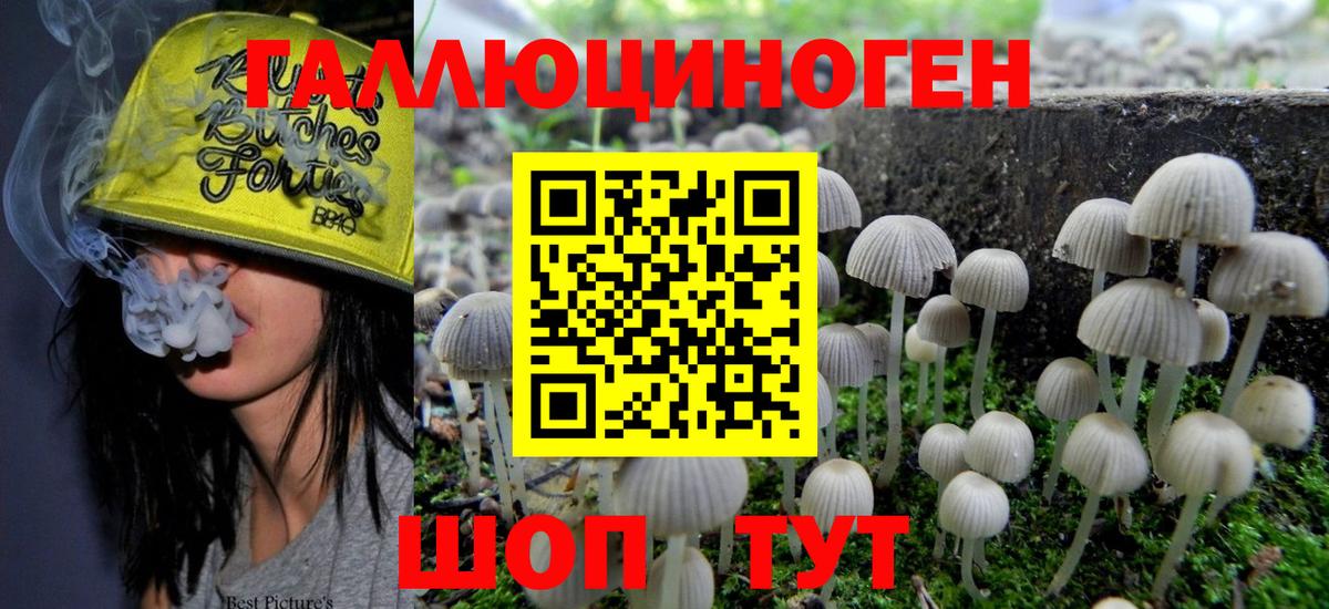 Калуга  Псилоцибиновые грибы MAGIC MUSHROOMS  закладки  Вход с VPN 